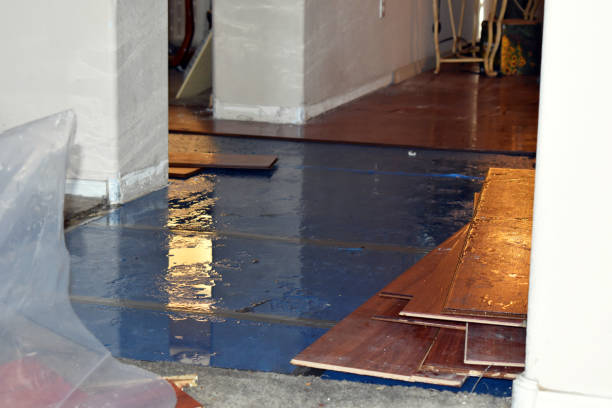 Professional Emergency Water Damage Restoration technician working in Marion, OH